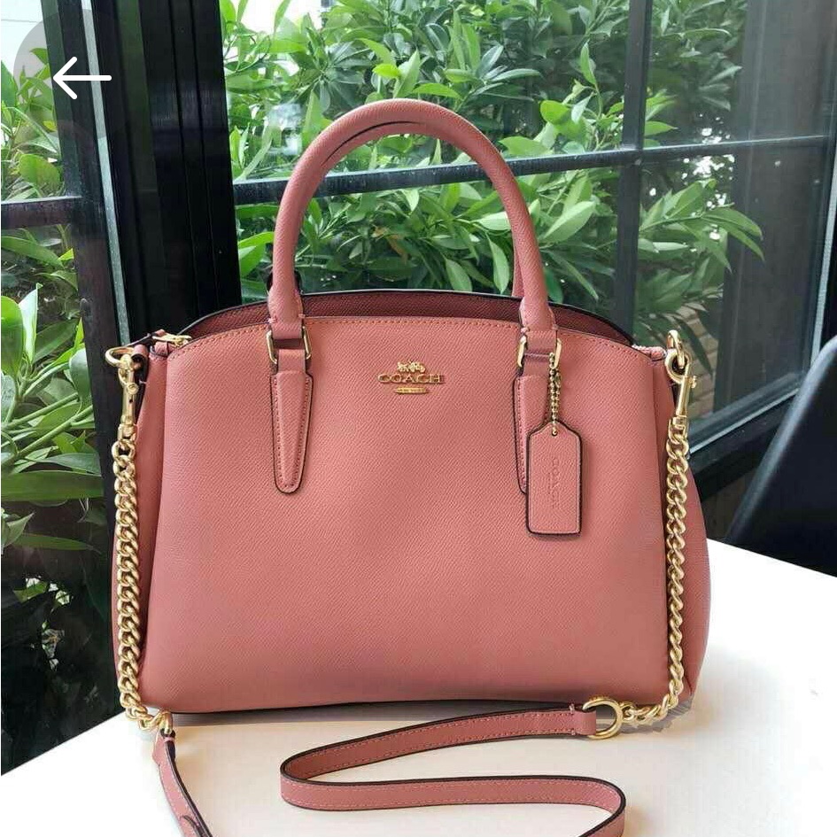 Nwt Coach Sage Carryall Dusty Rose/Silver